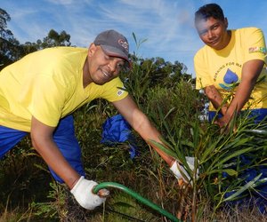 Fire and invasive plant management highlighted